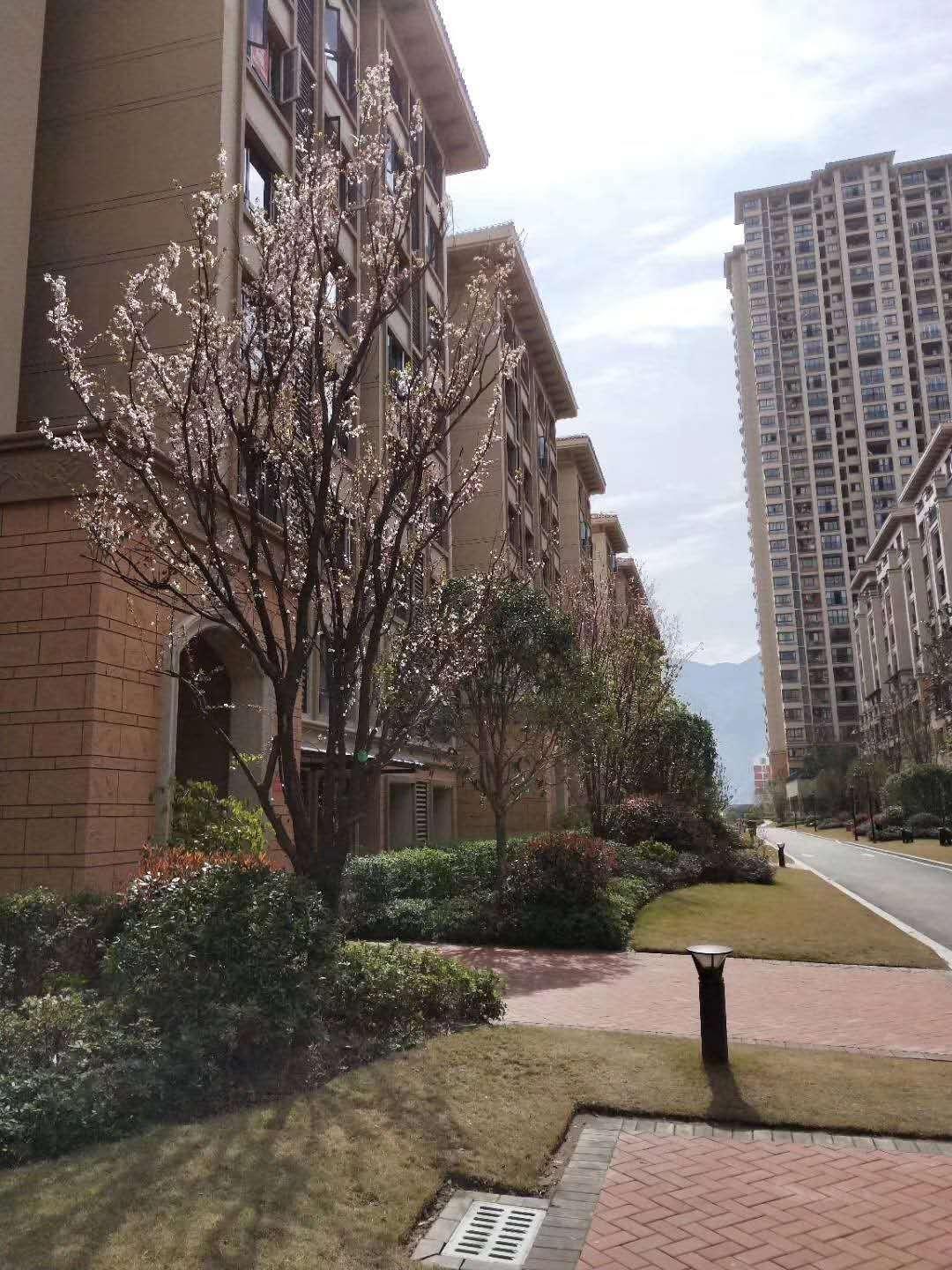 金科城一手房30号楼3室2厅 巫山房产网