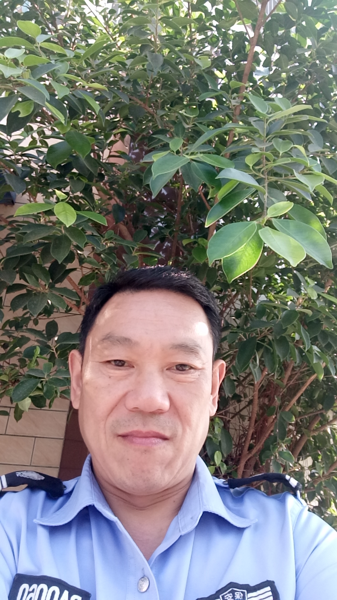 简历头像