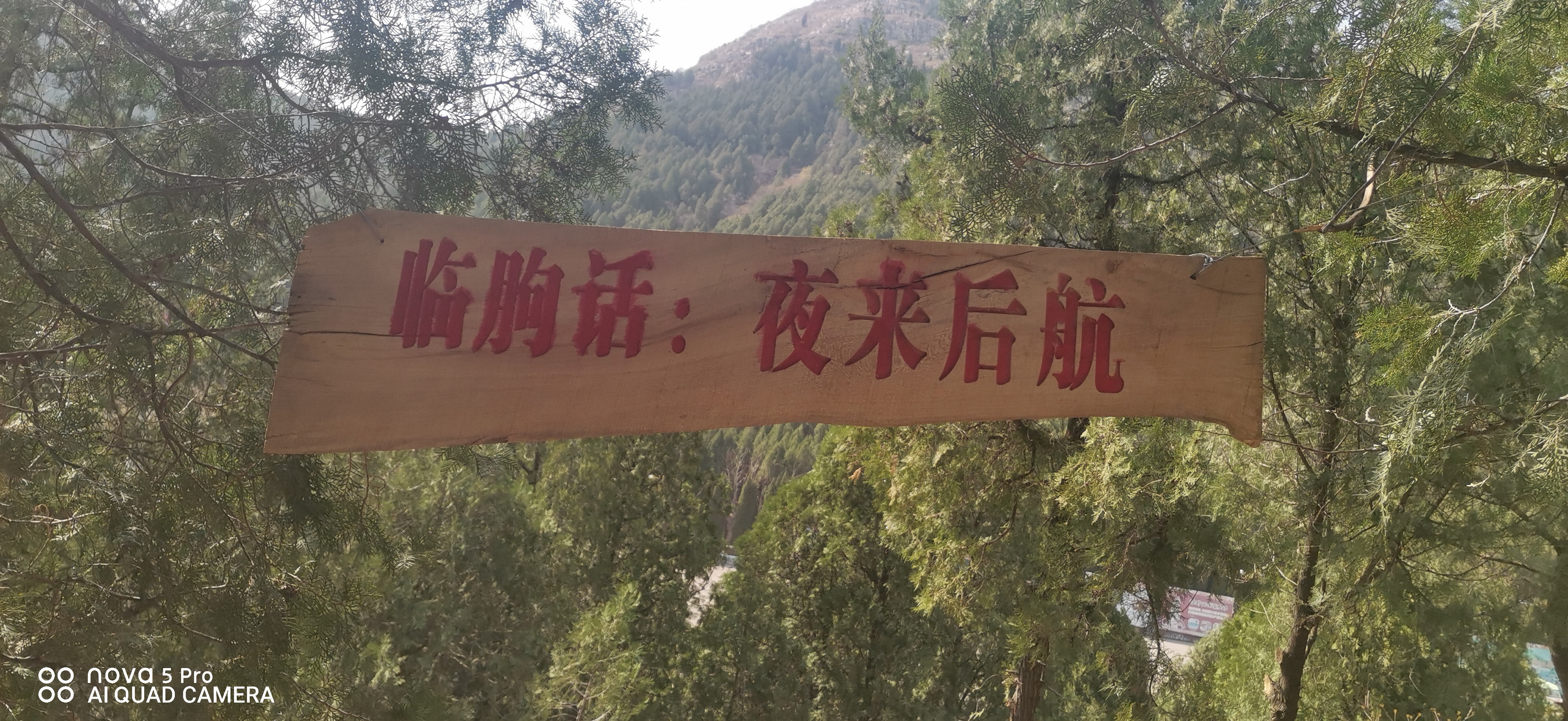 高先生