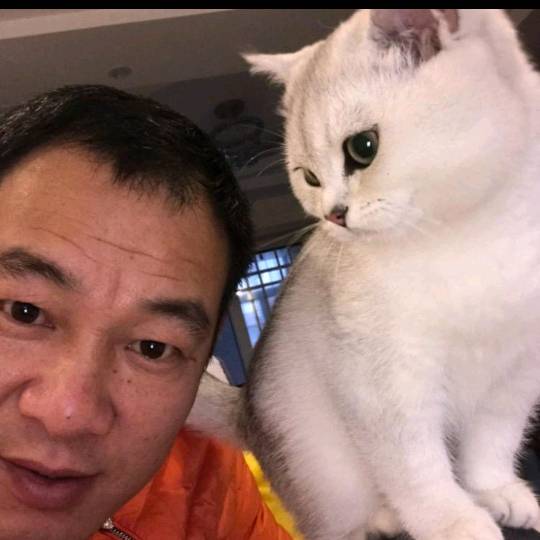 用户头像