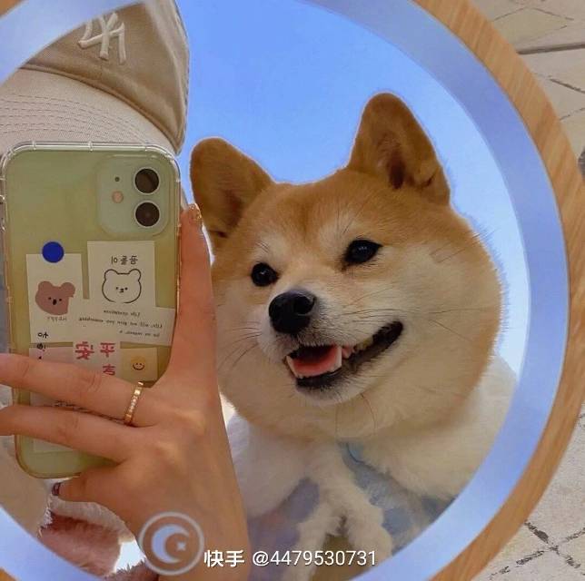 用户头像
