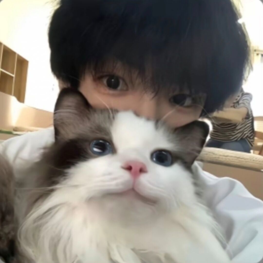 用户头像