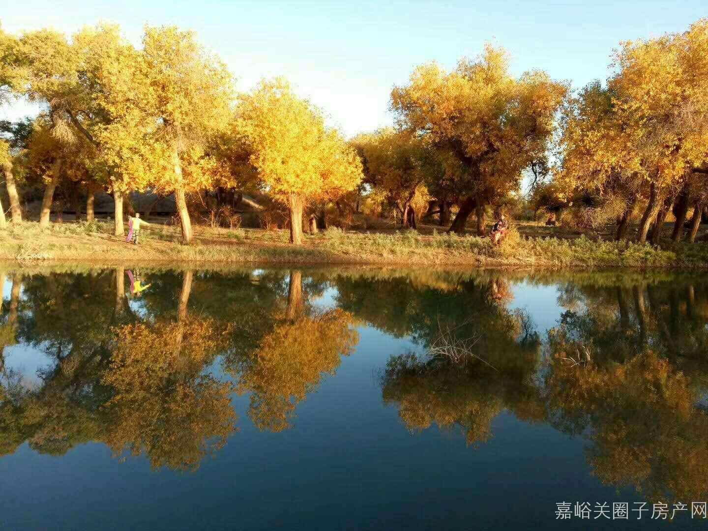 0m 2 1100元/月 嘉峪关市 青禾园 2室1厅1卫/100.