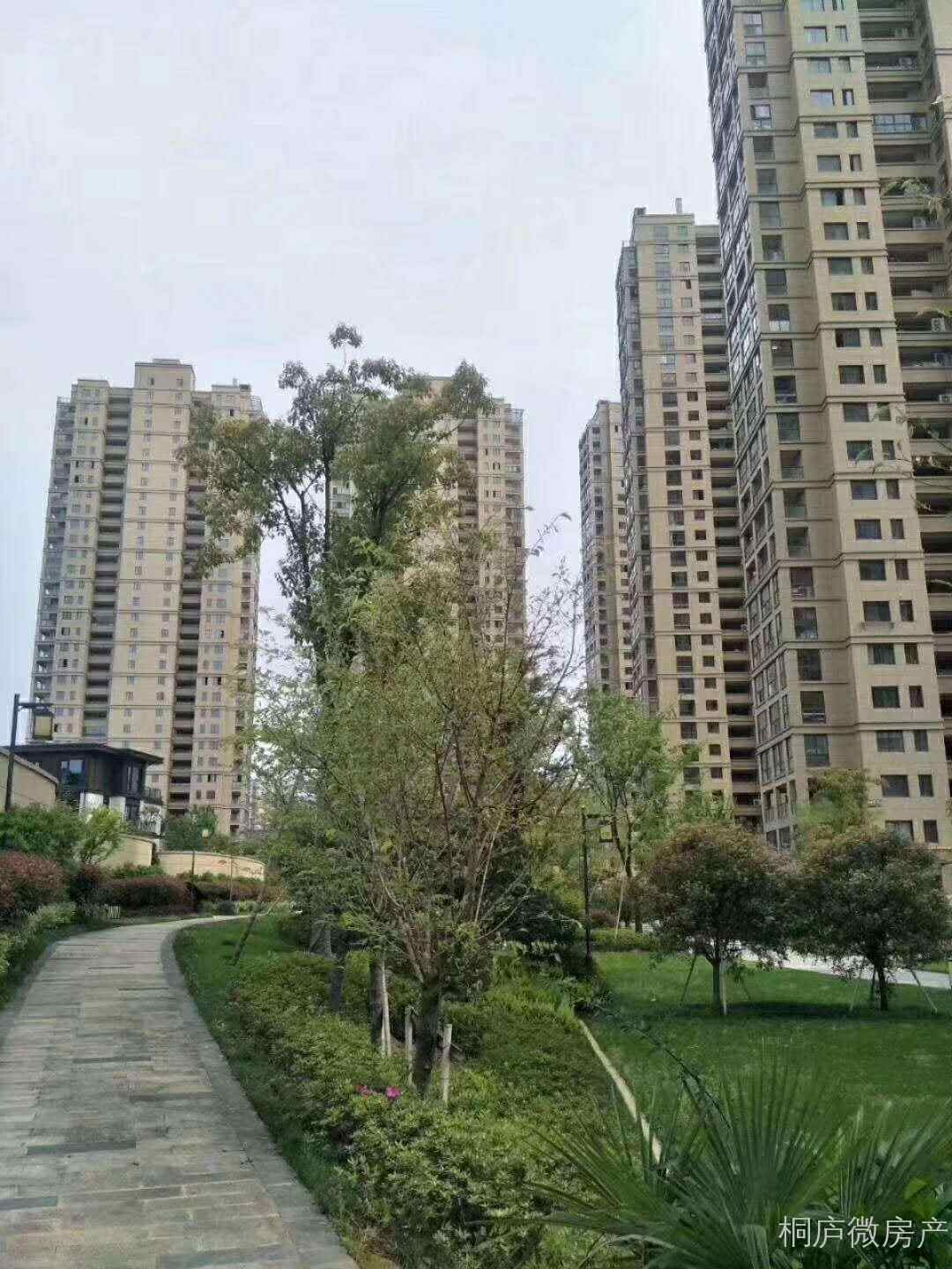 碧桂园精致三房