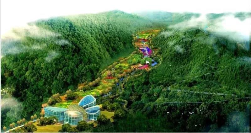 梁平竹海将建4大项目: 8000万建度假酒店,1700万建医养中心,1200万建熊猫馆…