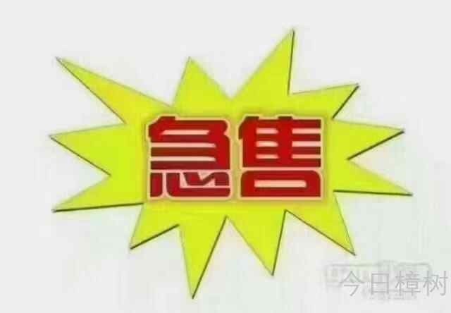 靠近二桥旁 | 二手房 | 樟树房产信息网-今日樟树