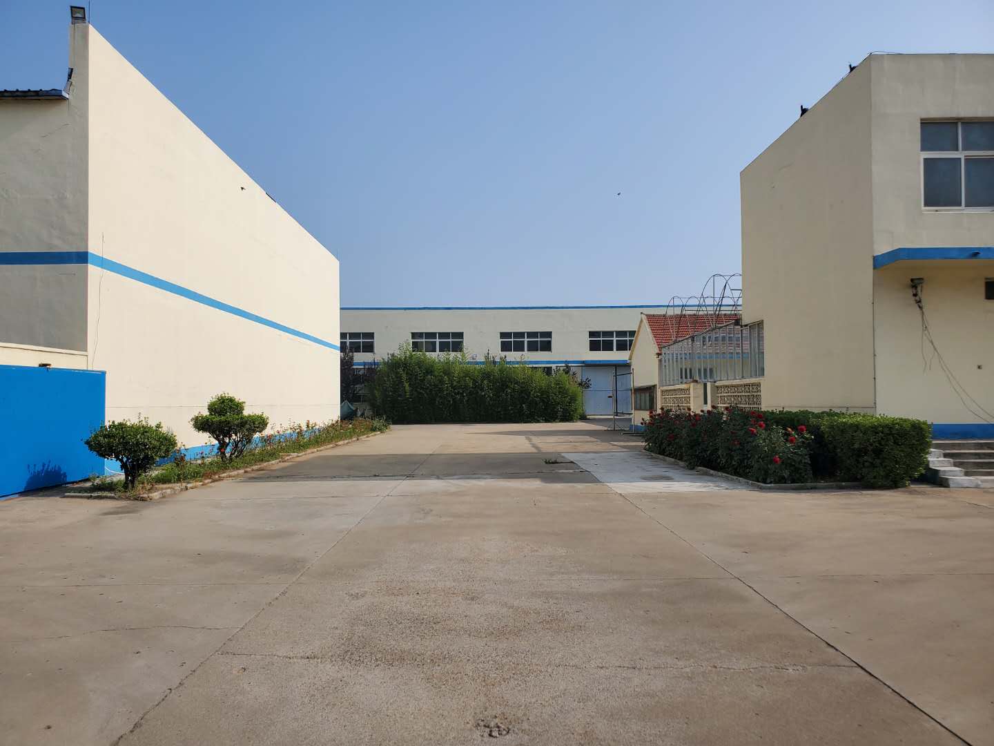 demo