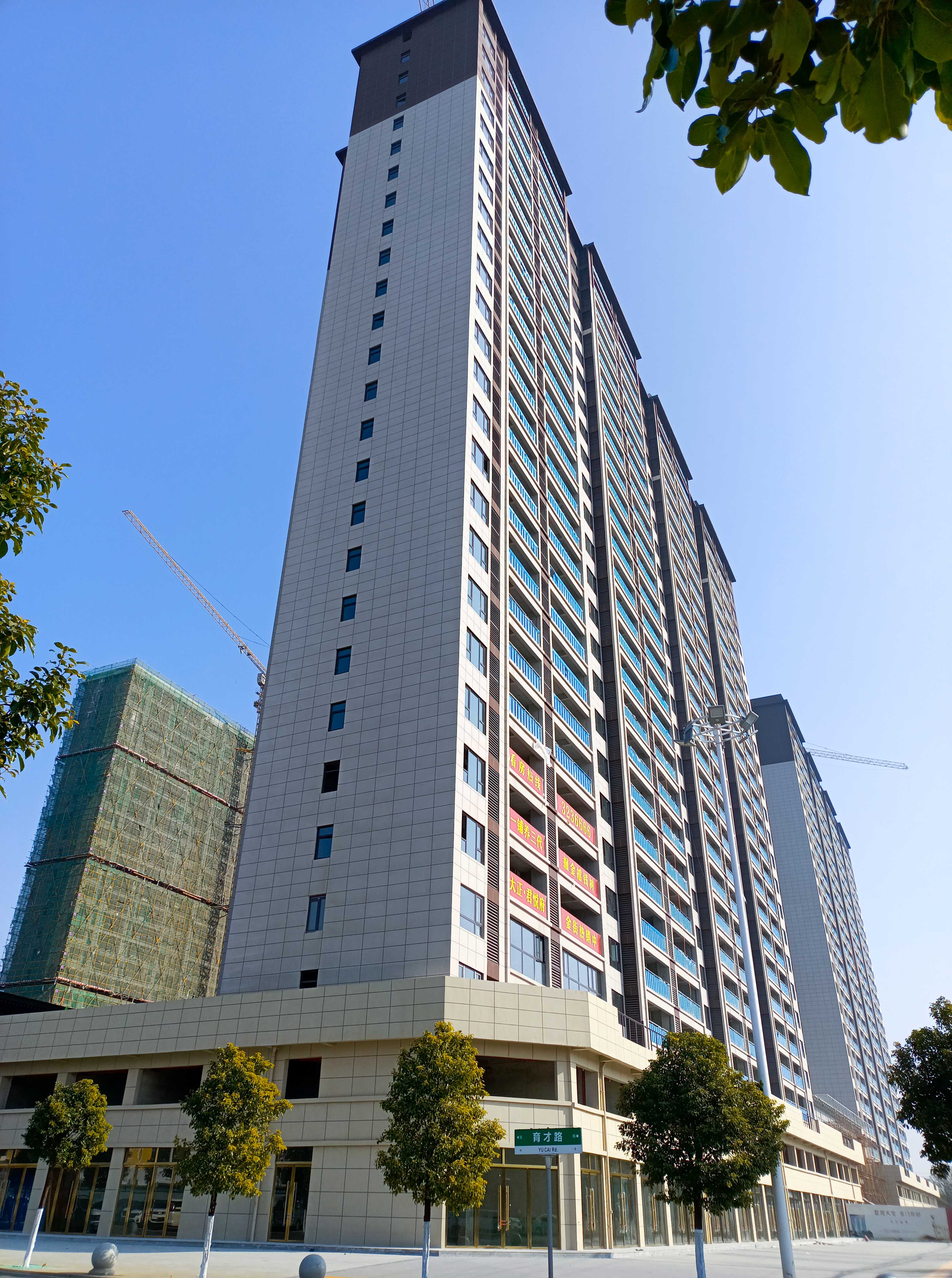 实景图