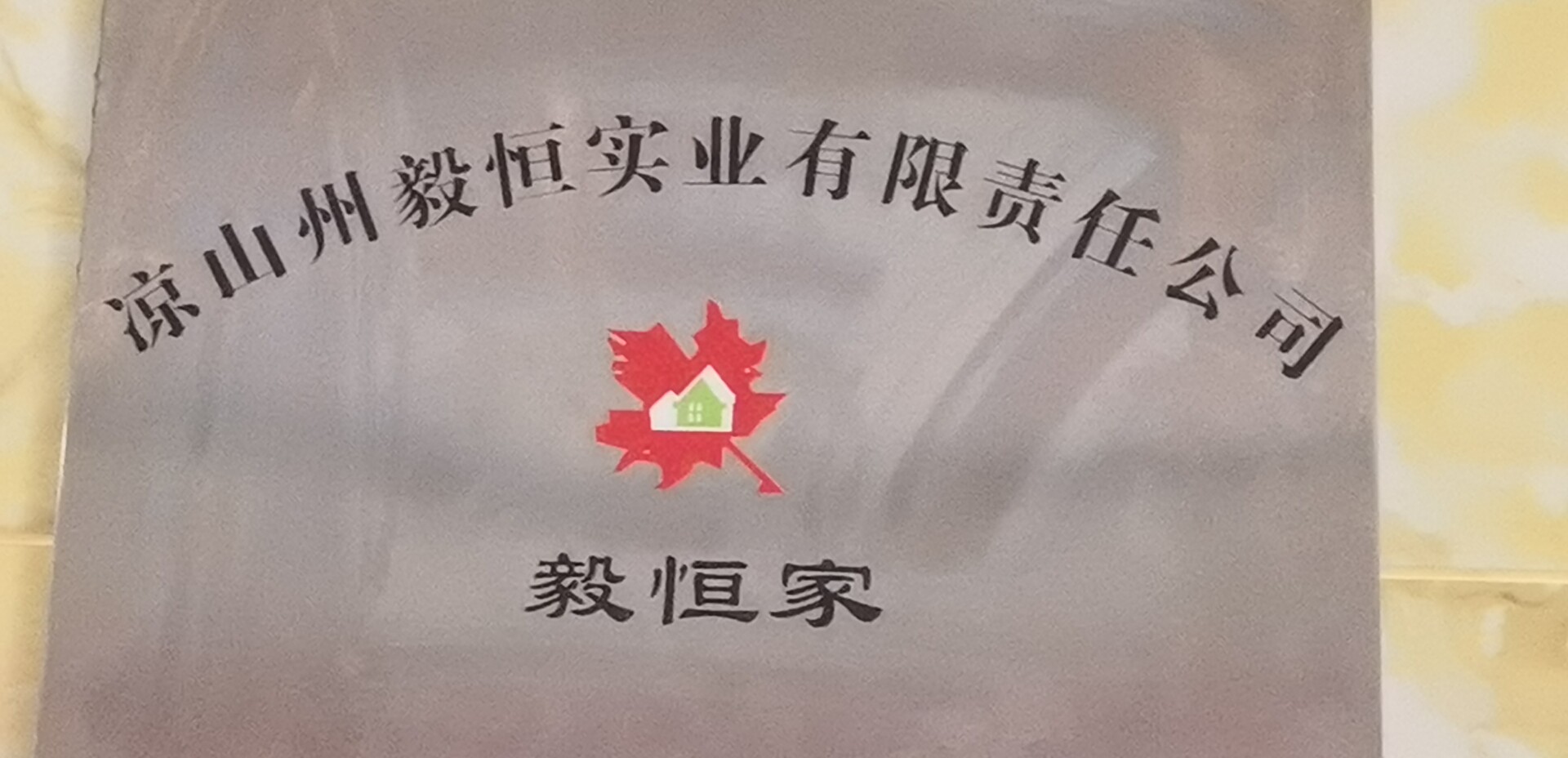 参会企业Logo