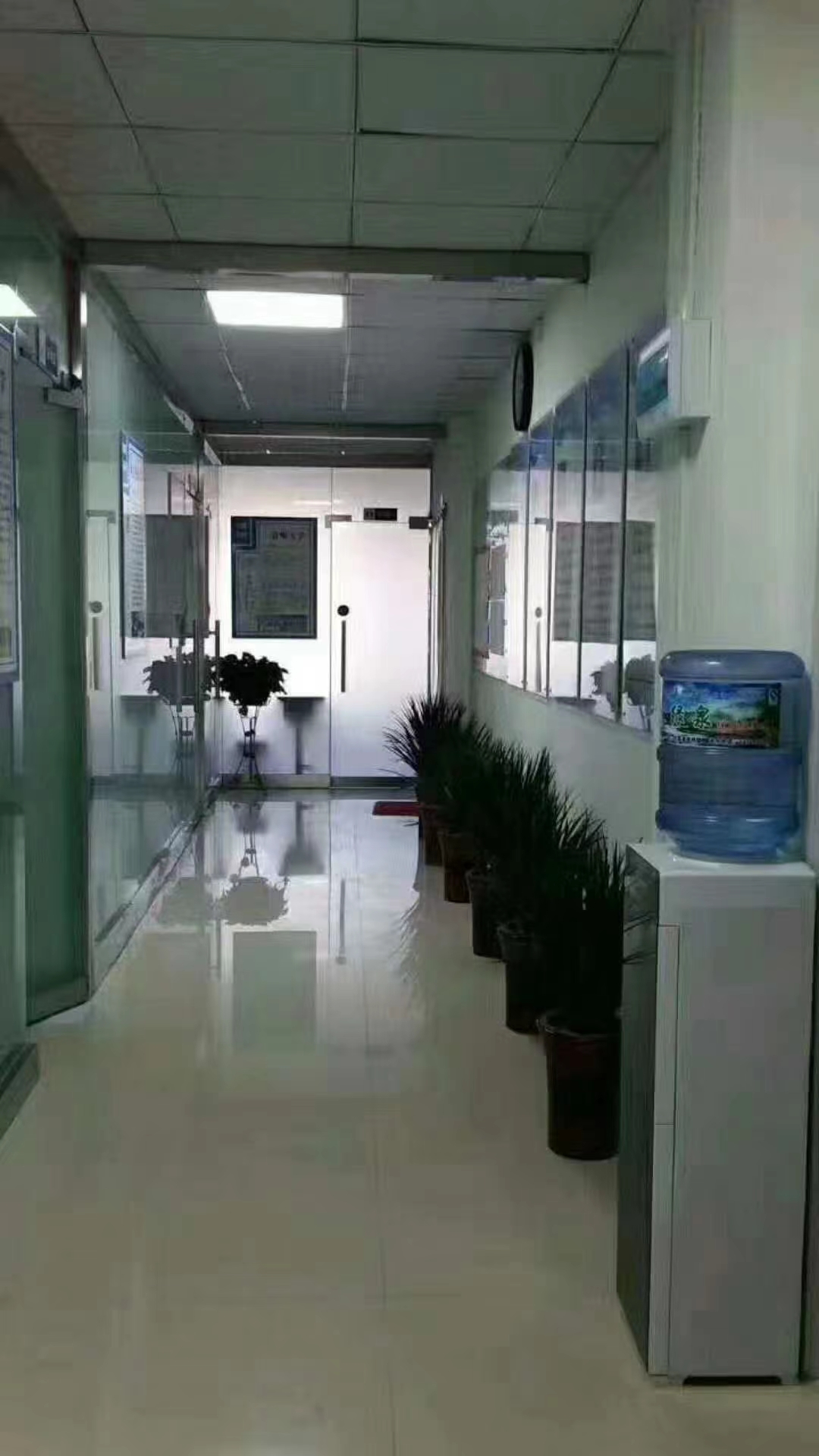 demo