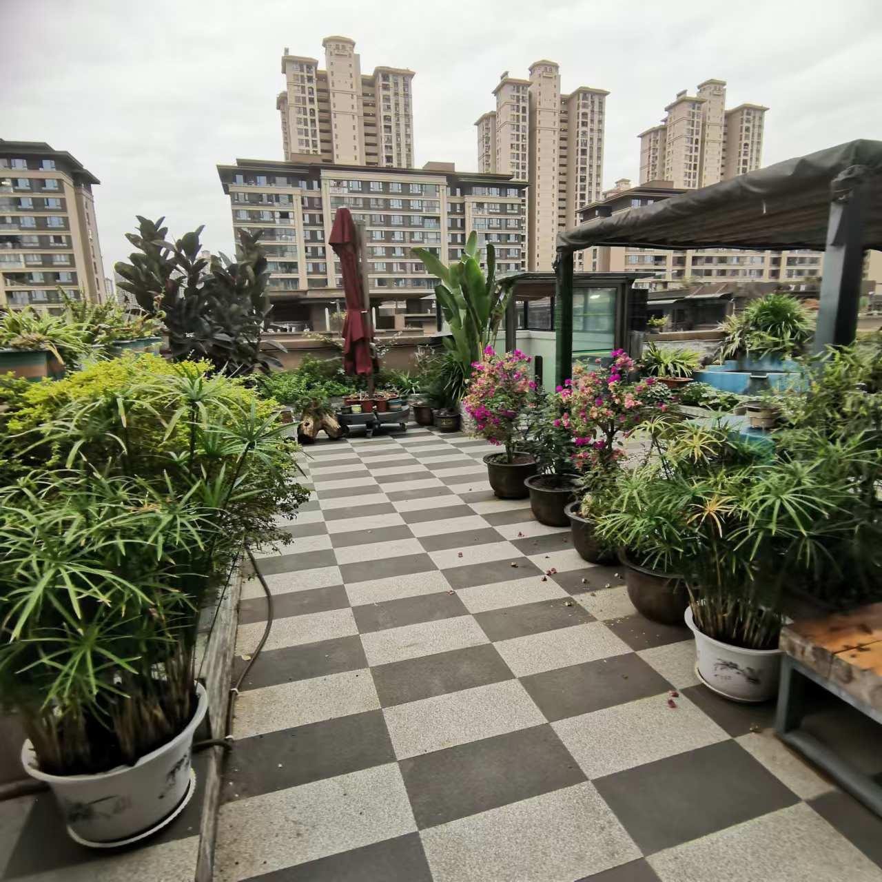 推荐封面