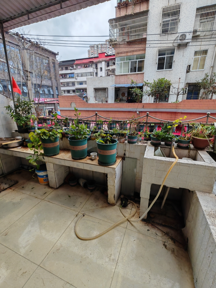 推荐封面