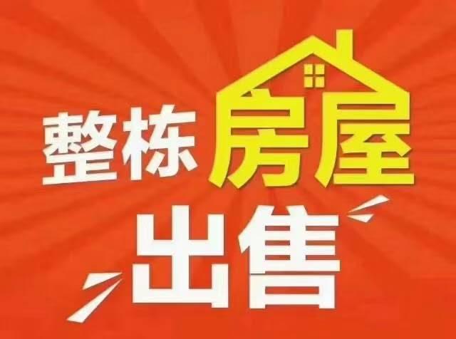 推荐封面