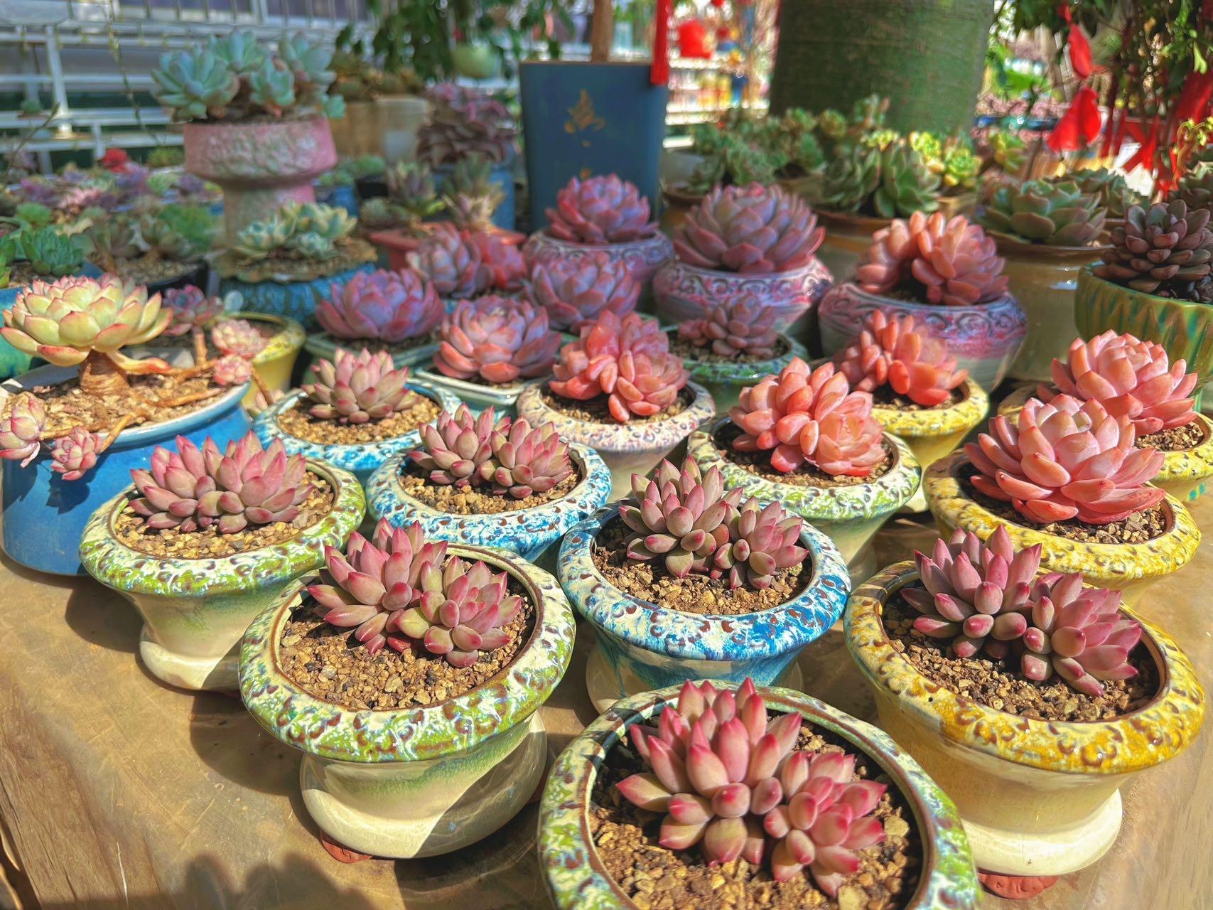 推荐封面