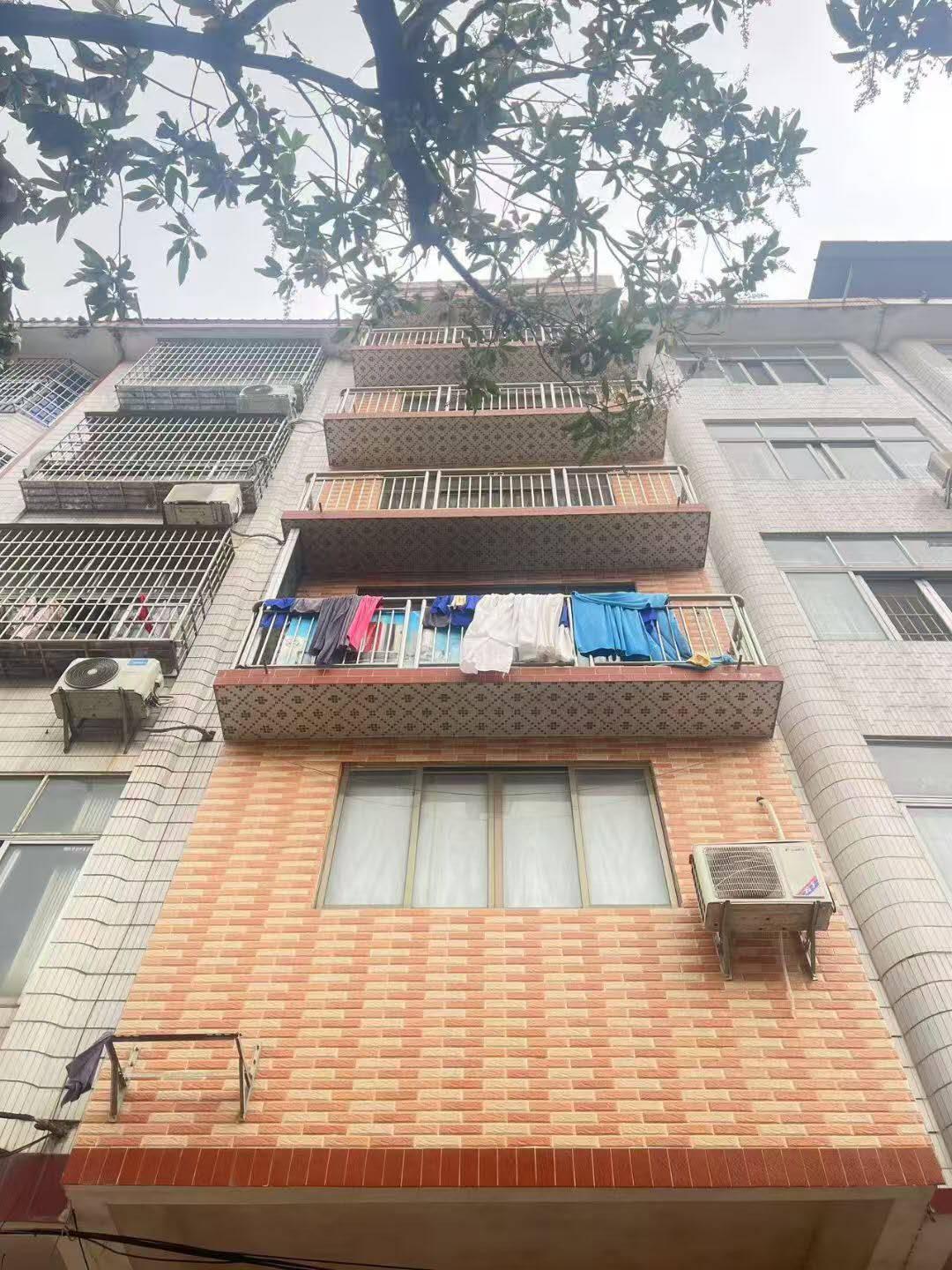 推荐封面