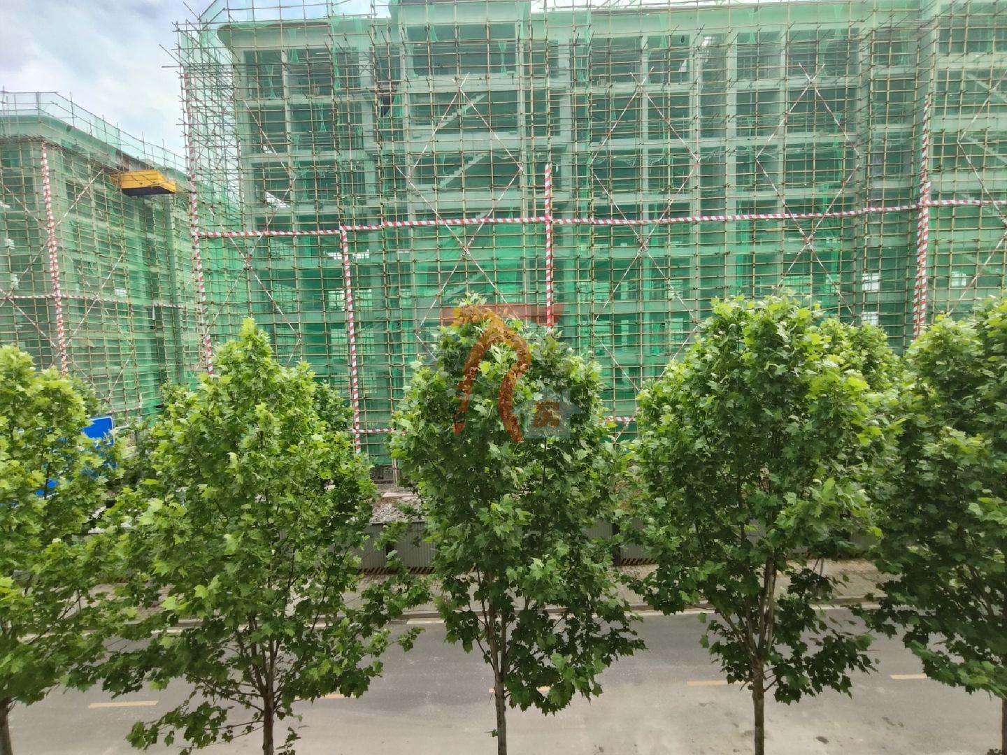 推荐封面