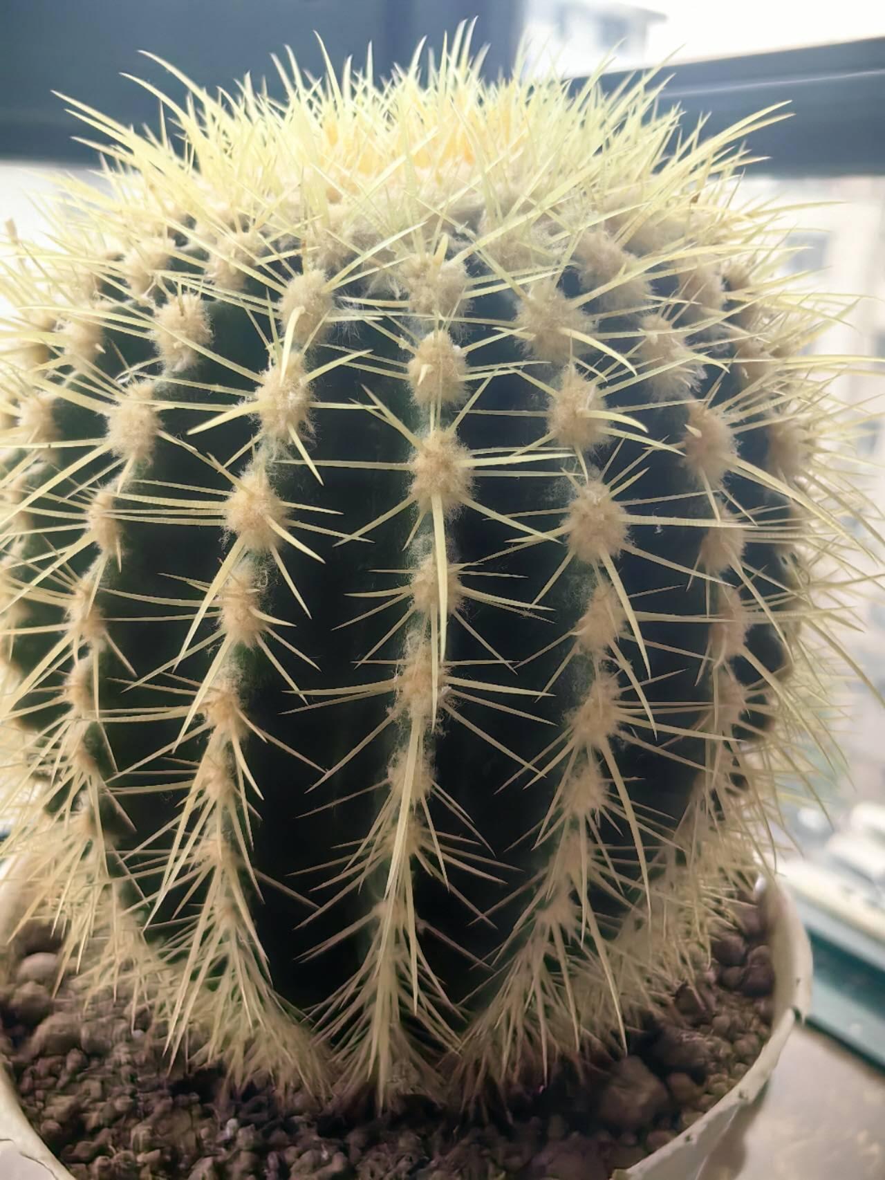 推荐封面