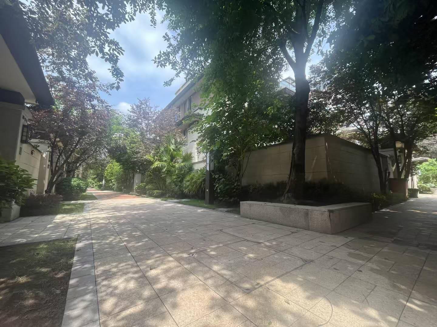 推荐封面