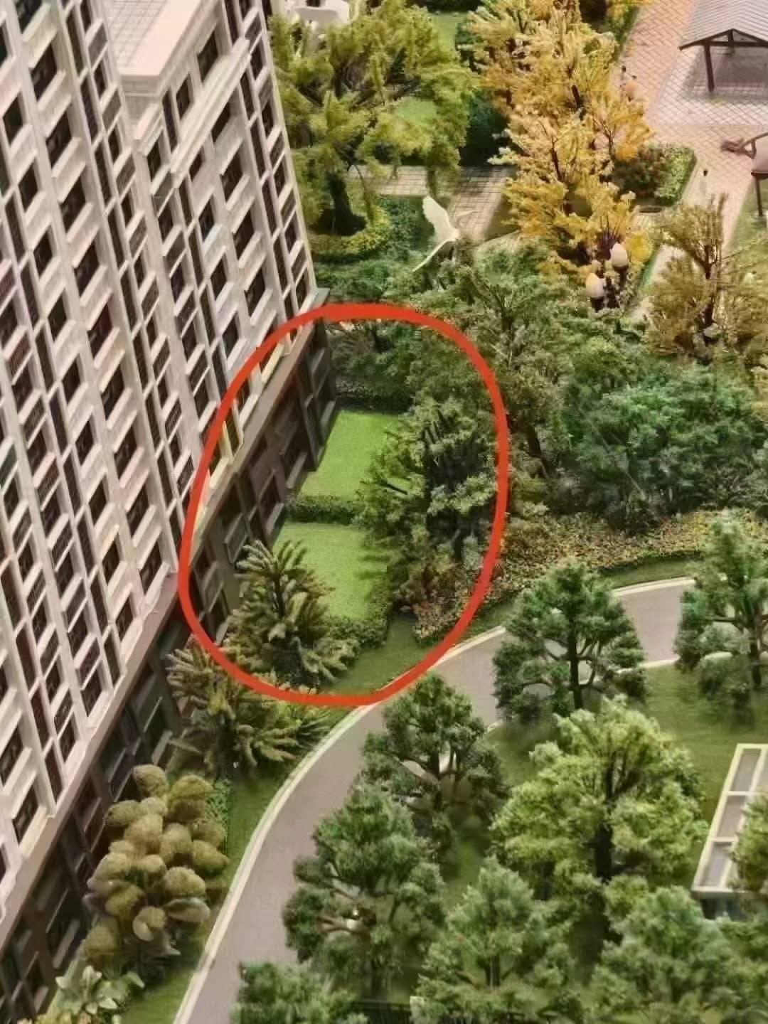 推荐封面