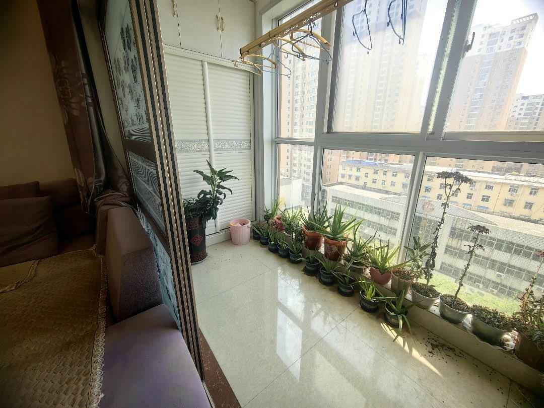 推荐封面