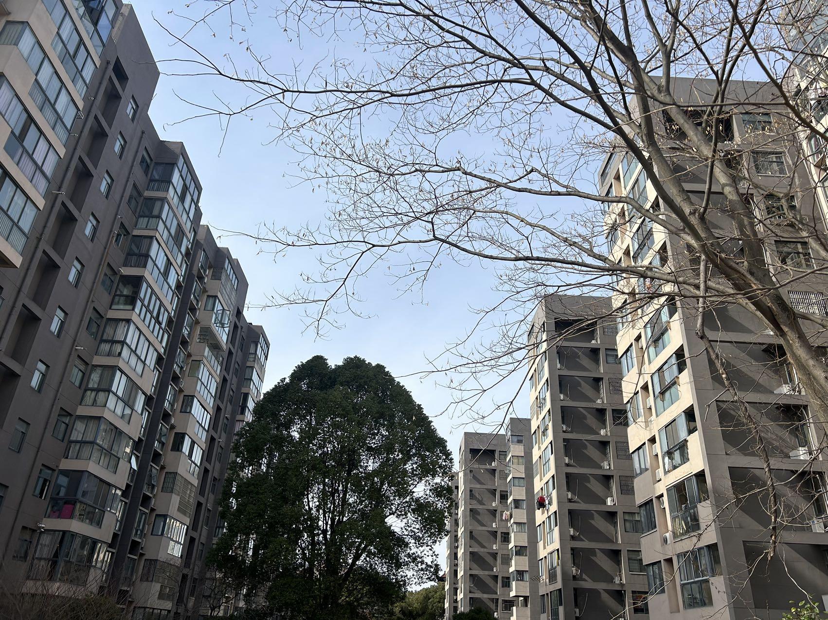 推荐封面