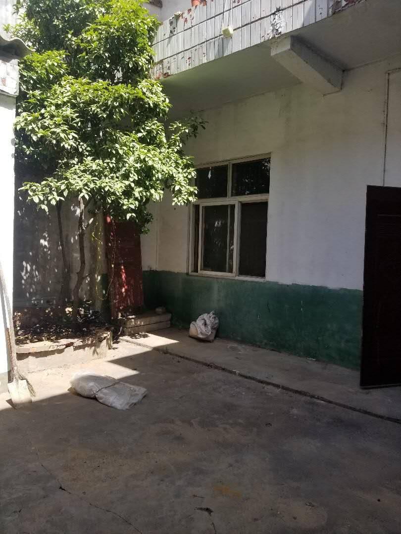 推荐封面