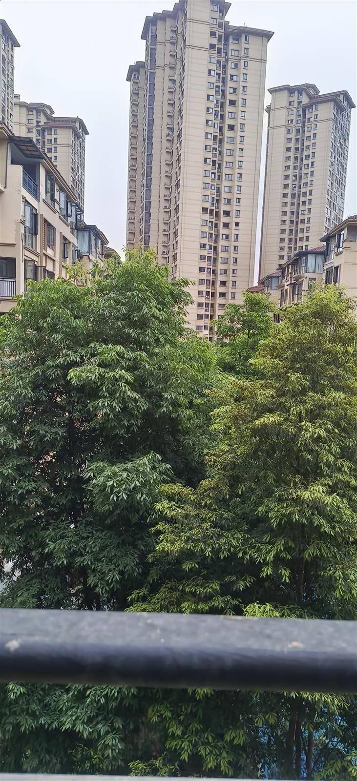 推荐封面