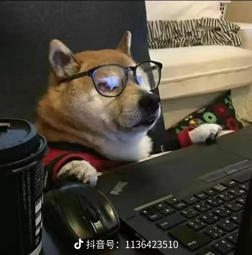 用戶頭像
