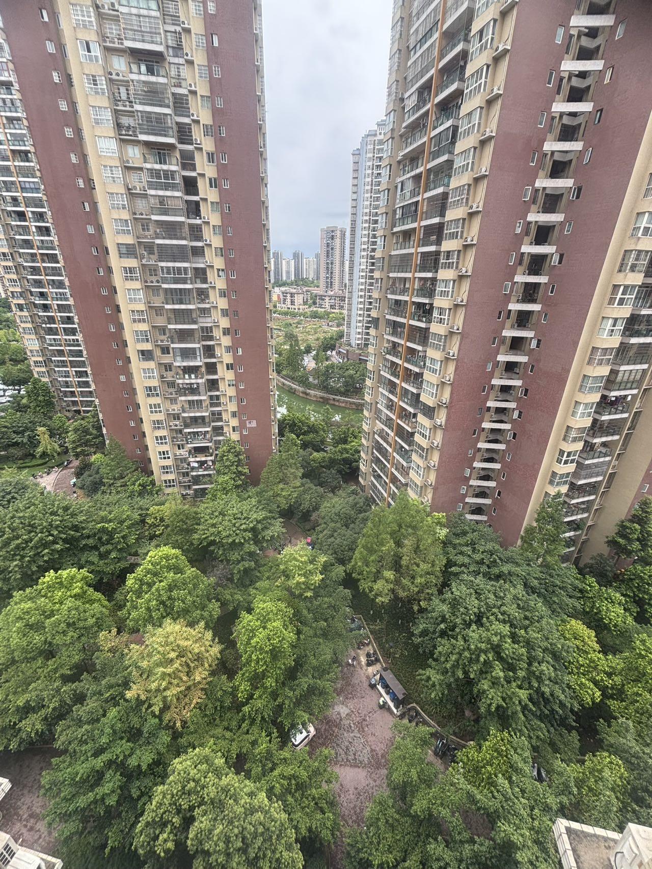 推荐封面