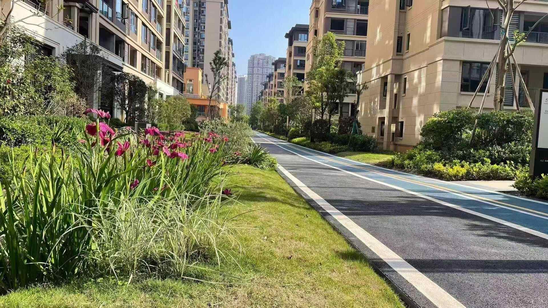 推荐封面