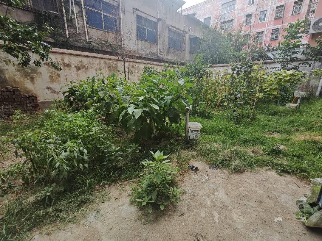 推荐封面