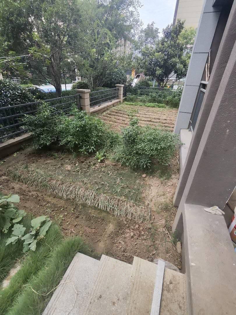 推荐封面