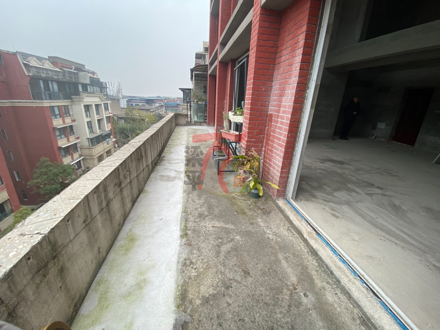 推荐封面