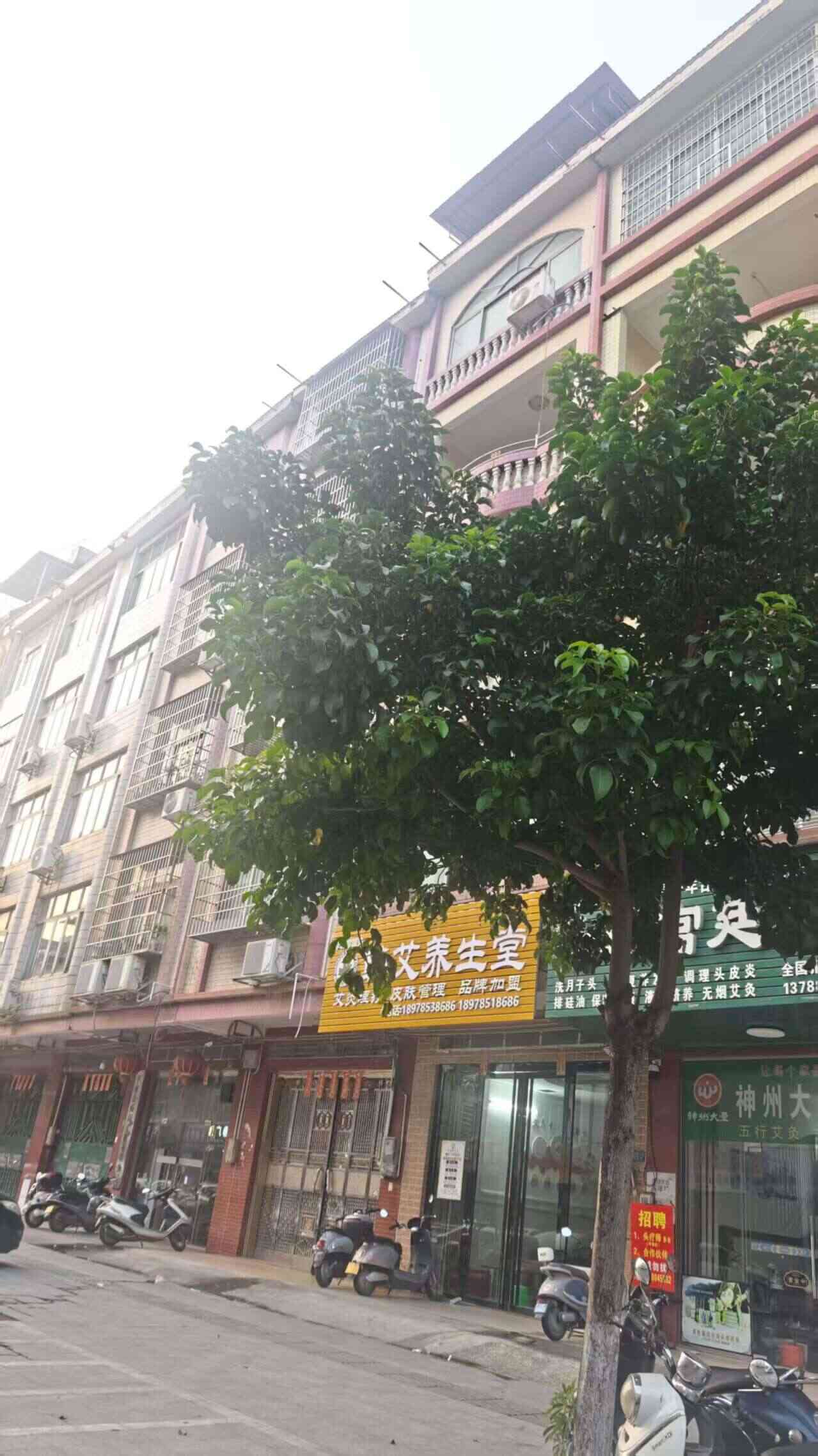 推荐封面