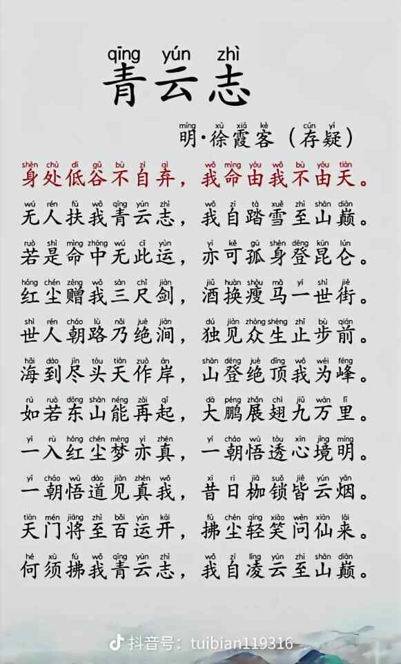 用户头像