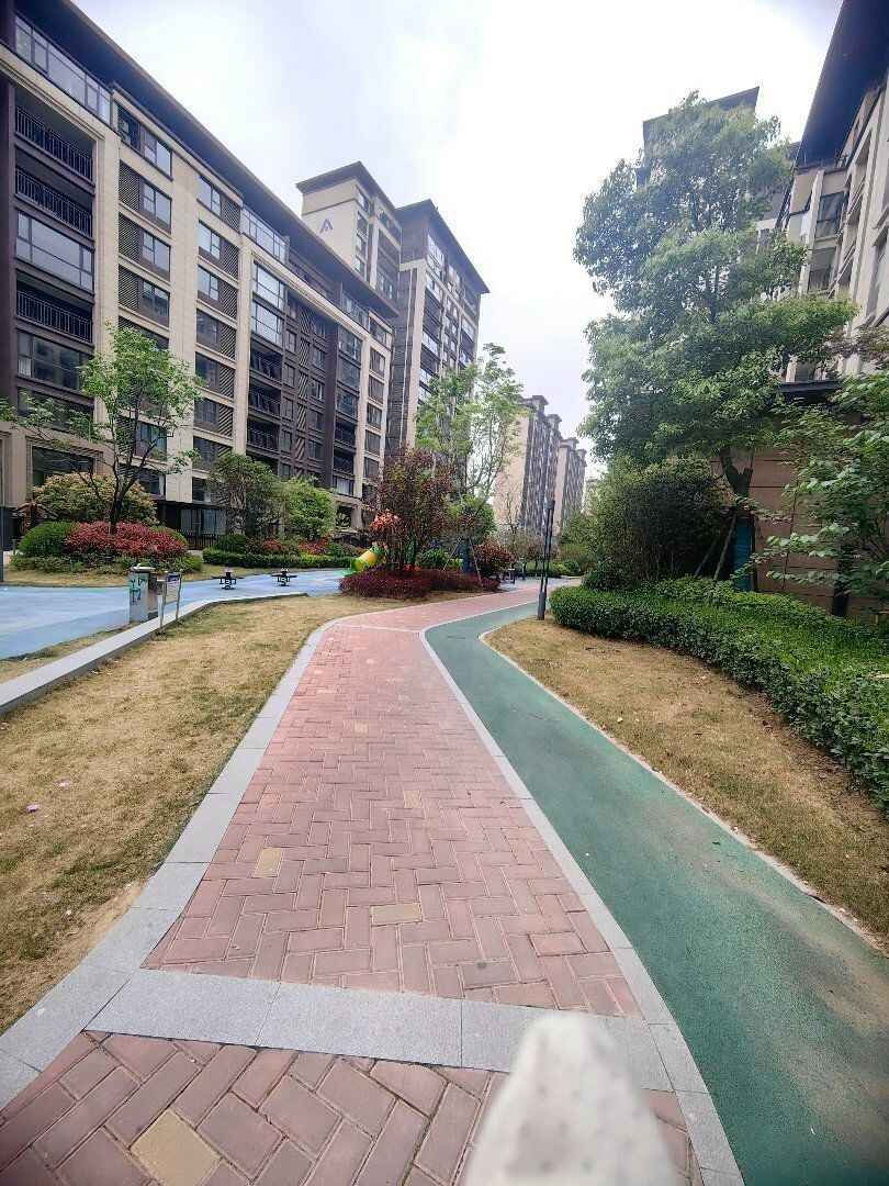 推荐封面