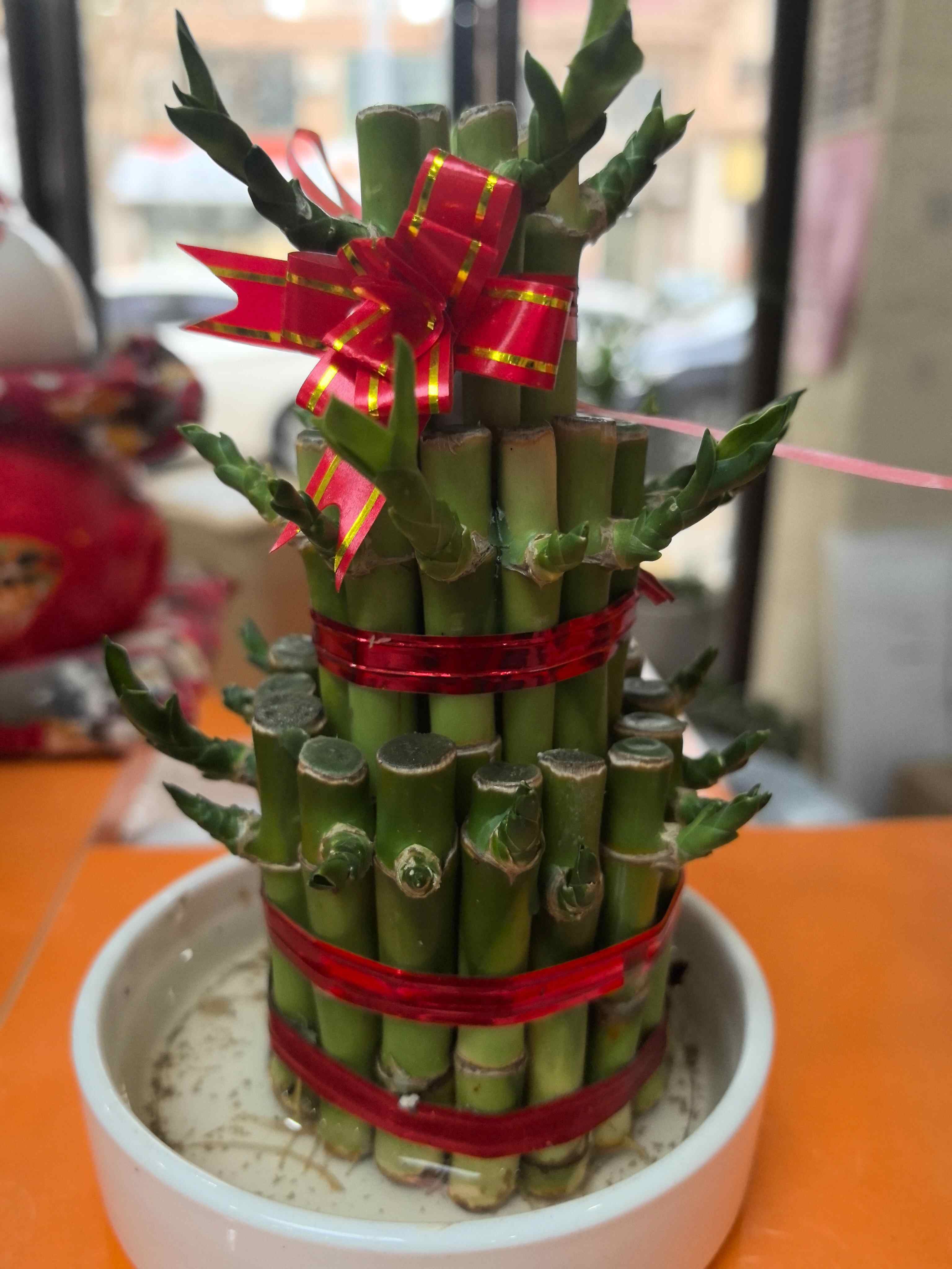 推荐封面