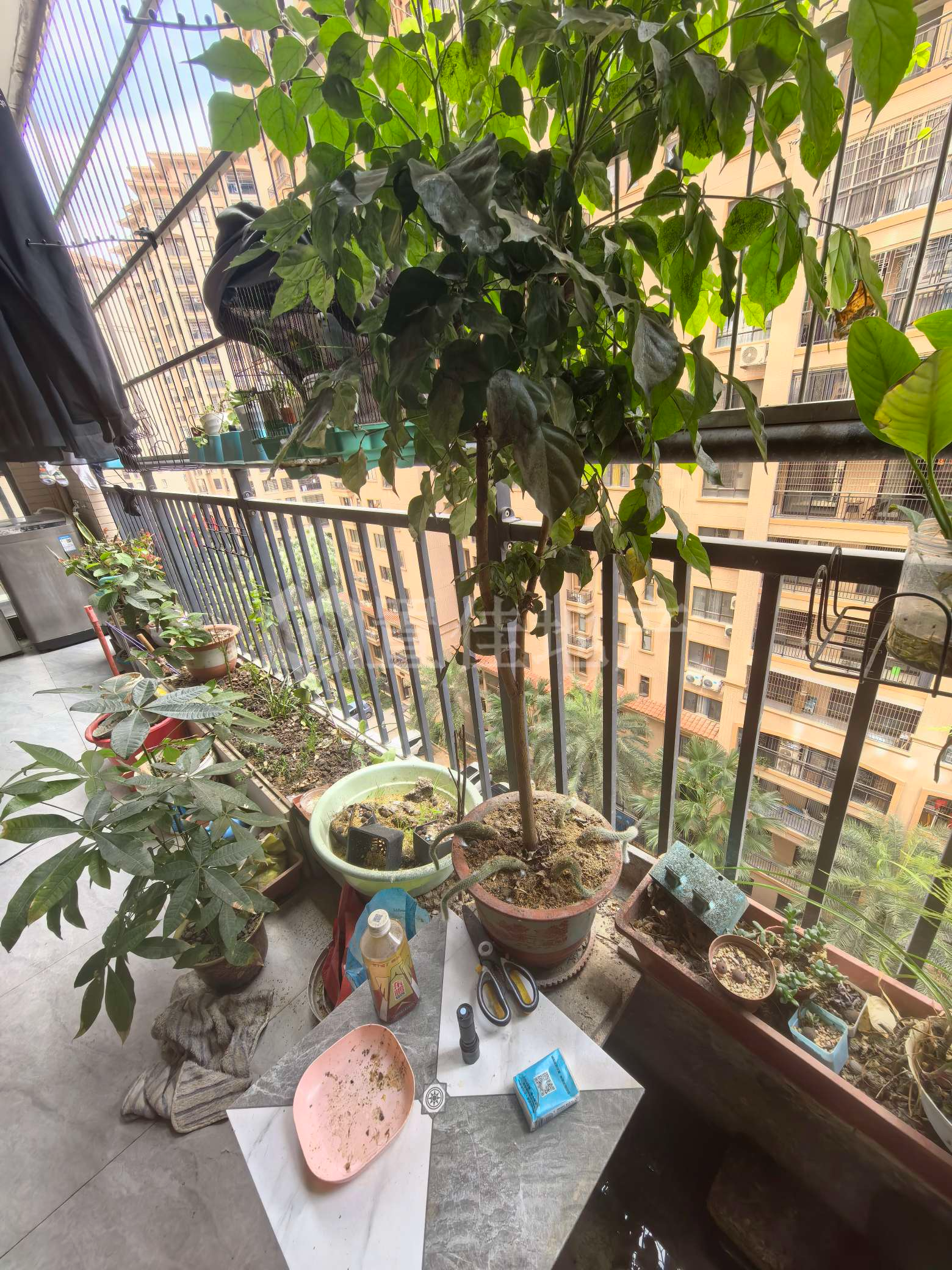 推荐封面