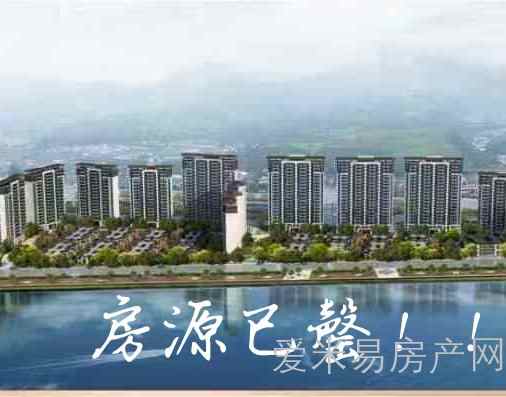 阳光里