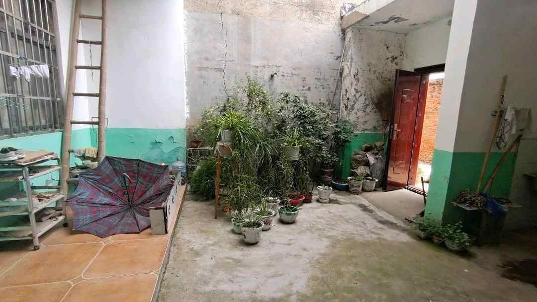 推荐封面