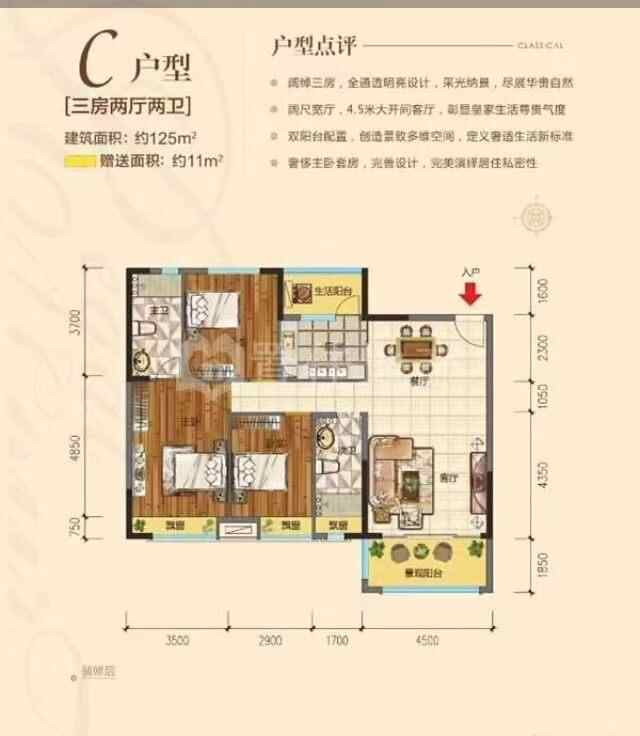 推荐封面