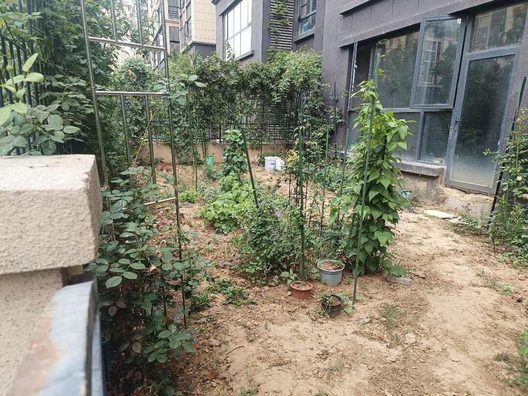 推荐封面