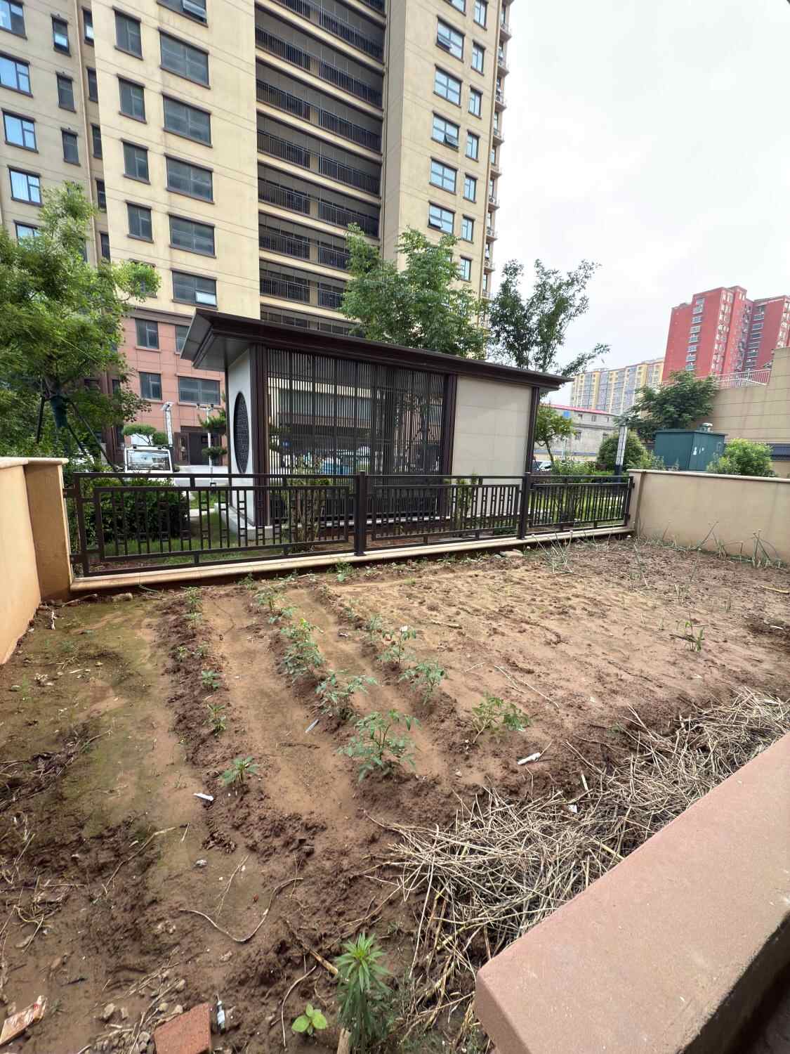 推荐封面