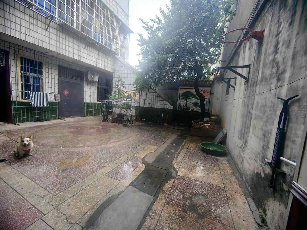 推荐封面