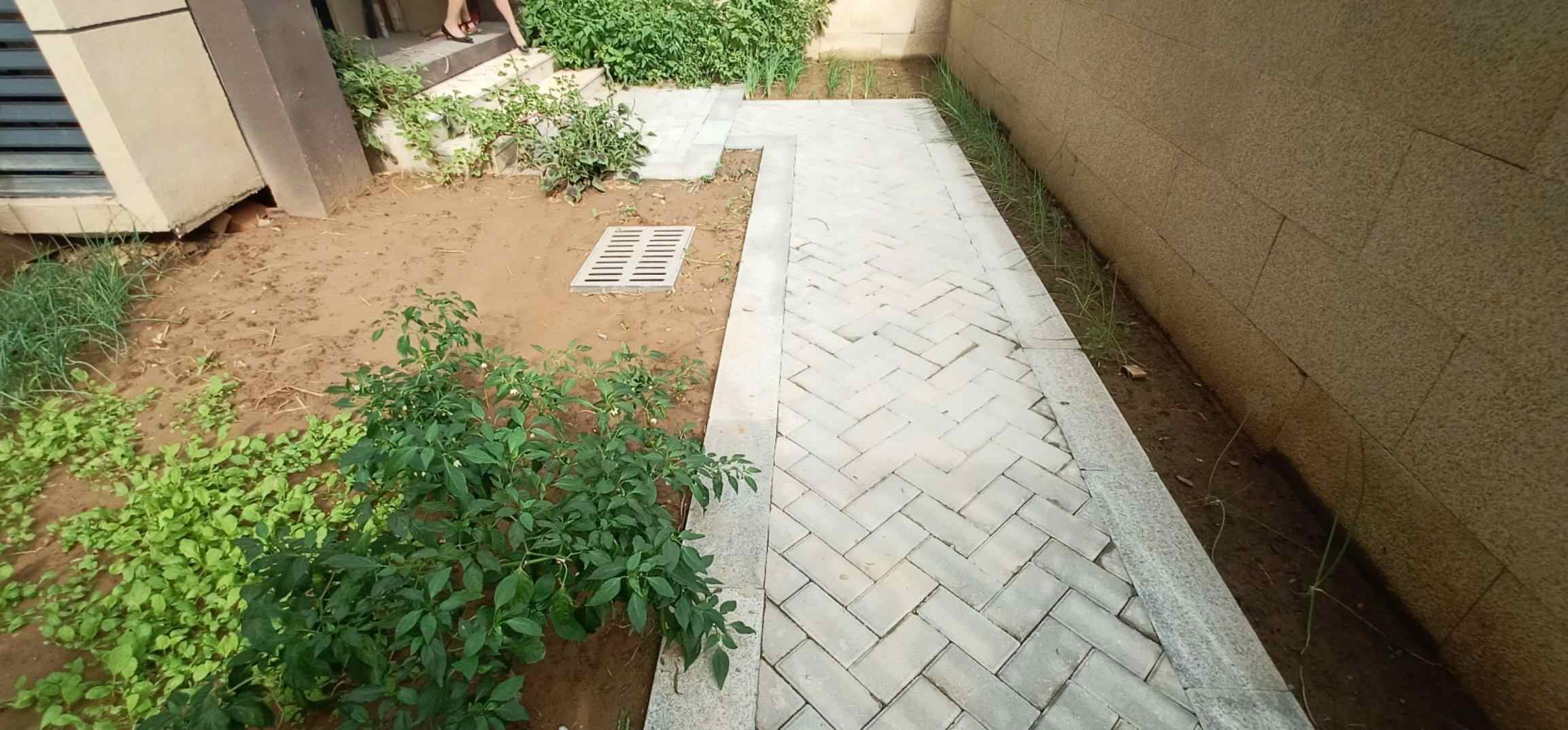 推荐封面