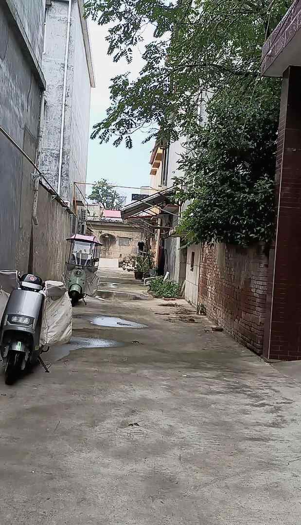 推荐封面