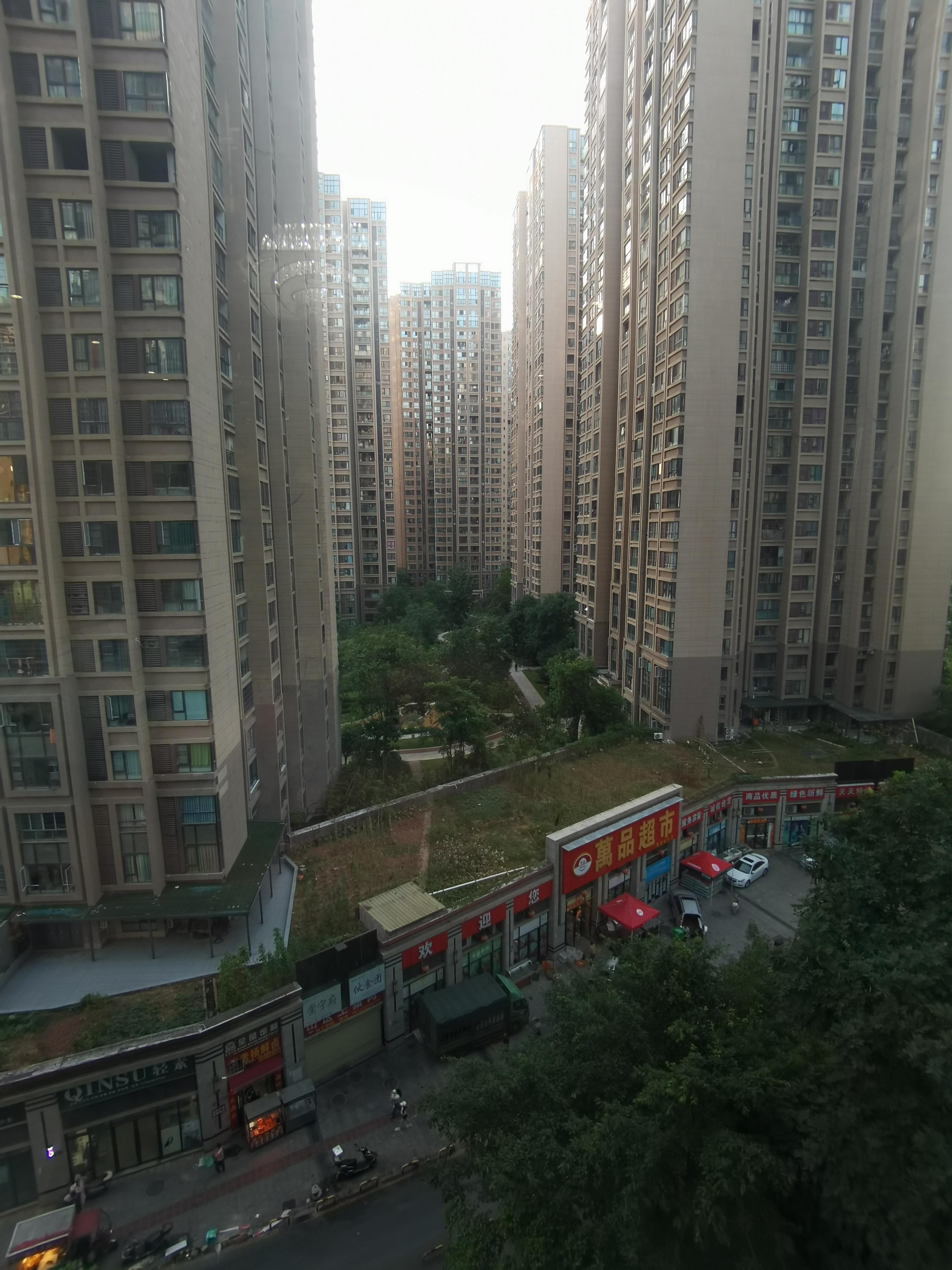 推荐封面