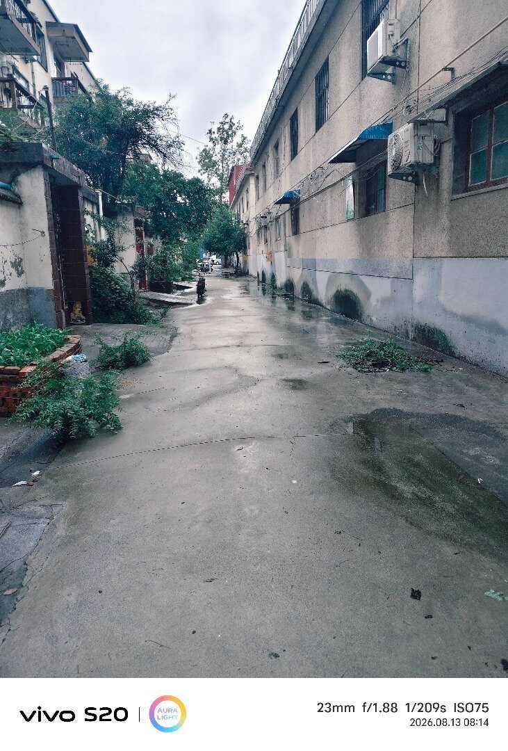 推荐封面