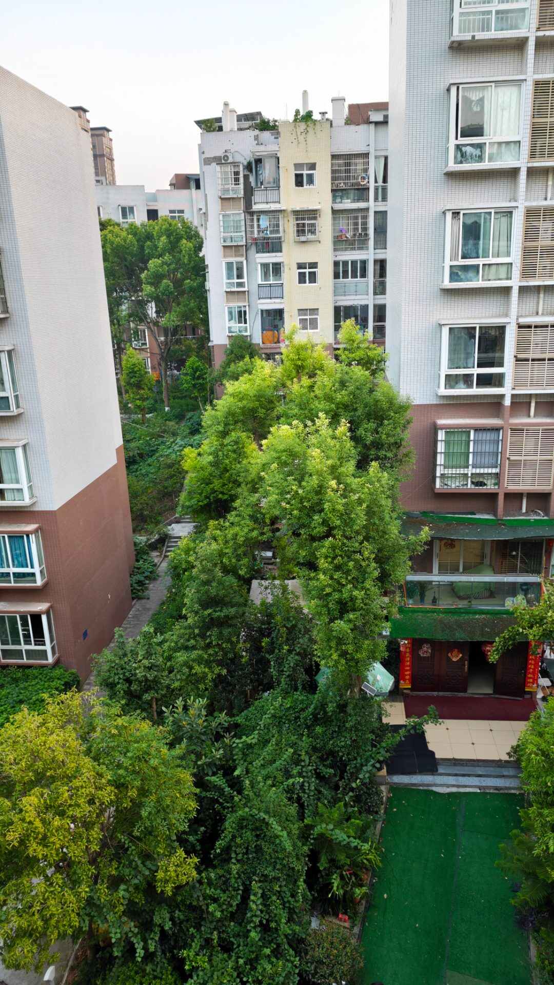 推荐封面