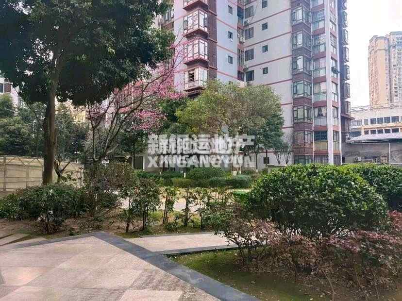 推荐封面
